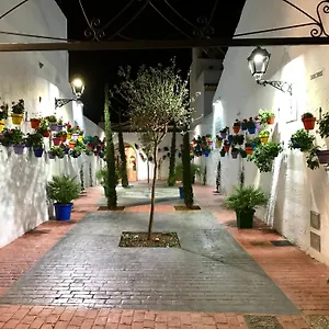 calle-san-miguel.1costadelsol.com/